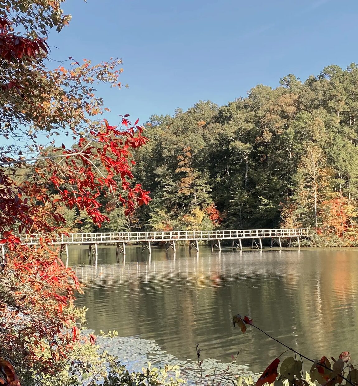 Boardwalk at Big Hill Pond State Park