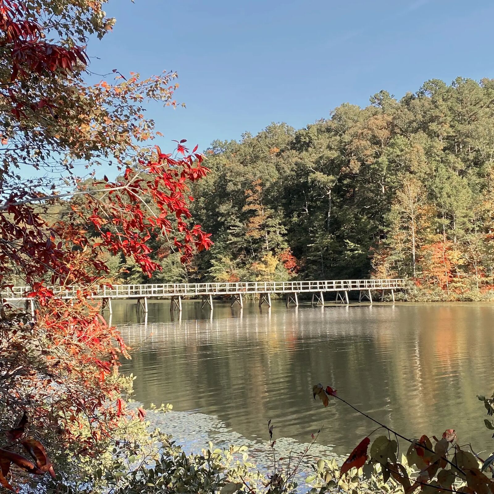 Fall in McNairy County