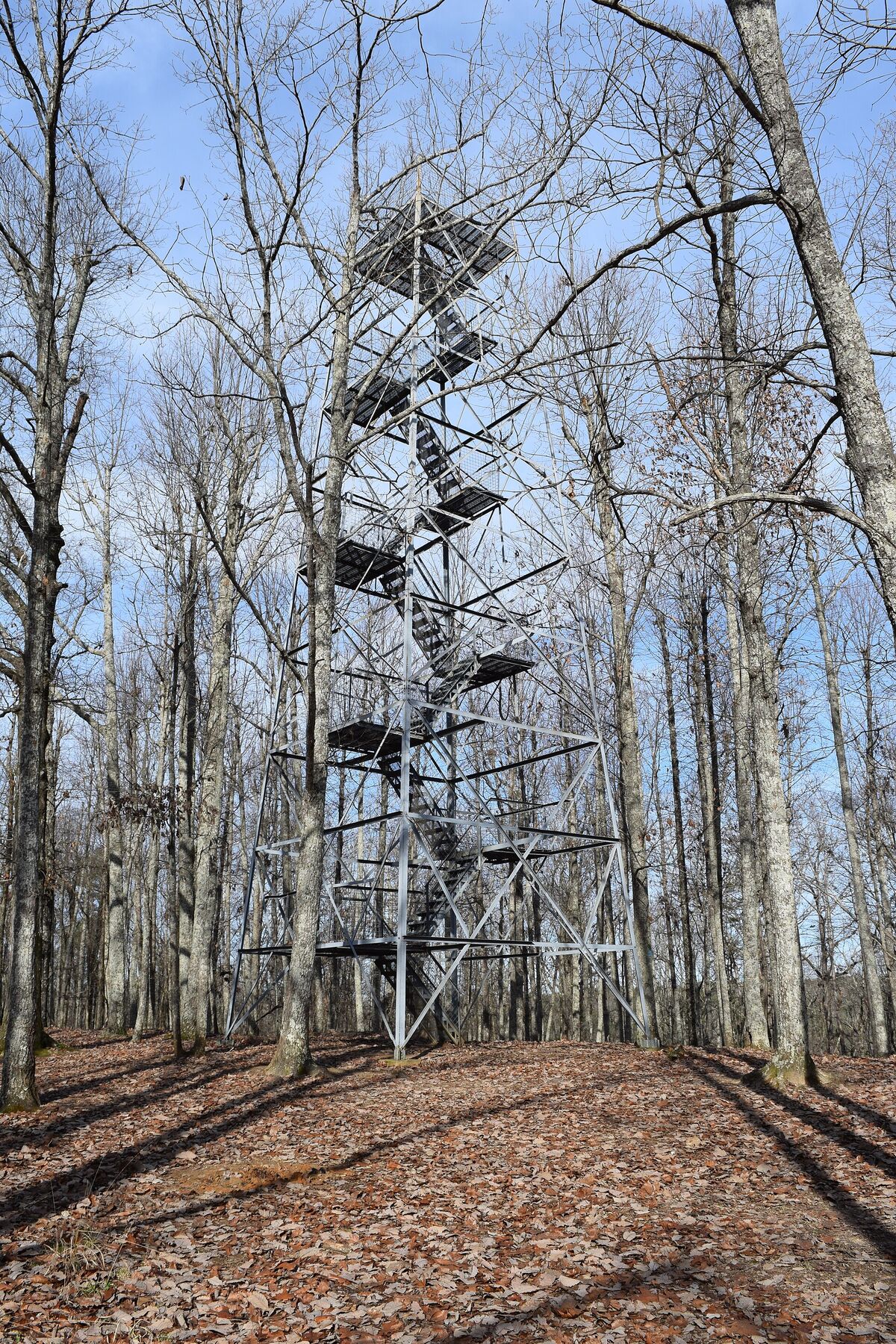 Observation tower at Big Hill Pond State Park